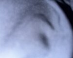 Panchi_72