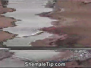 Chicks with Dicks Bonk Ass Trailers Compilation