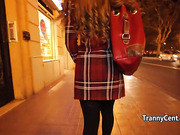 Dude fucking hot ebony shemale