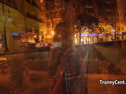 Ebony shemale fucks big cock