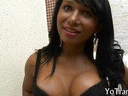 Sexy tranny gets her big butt nailed