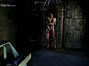 Dungeon pet Chelsea toys and pees