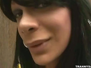 Big boobs tranny wank off her cock