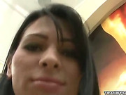 Big tits tranny babe dances on a pole