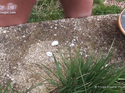 Mature TS Joanna Jet cumshot compilation