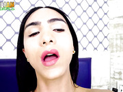 Gorgeous Latina trannies stroking their big hard cocks