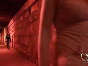 Hard Danni robs and fucks a tgirl