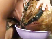 Beautiful Latina Shemale dominates white guy