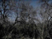 TS Ada Black jack off in the forest