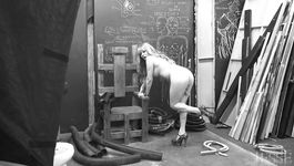 TS Jesse stroking her enormous cock