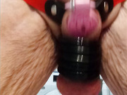 tight chastity with rings on testicles