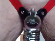 Reverse chastity with many metal rings and lock