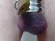 Reverse chastity with many metal rings and lock