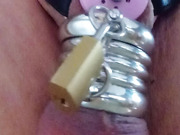 new inverted chastity