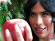 The story of Adam and Eve Trans version