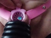 new chastity fish basket pink with penis plug in piss hole 2