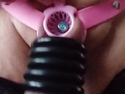 new chastity fish basket pink with penis plug in piss hole 2