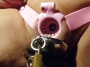 Reverse chastity belt rings lock and blue penis plug in piss hole