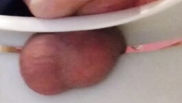 new negative chastity toilet bowl balls squeeze and thrust