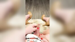 shemale Janice strokes her creamy cock