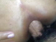 Breeding a passive tranny