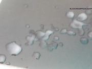 cock cumming barcelona my cock