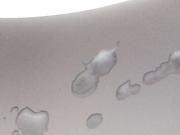 cock cumming barcelona my cock