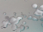 cock cumming barcelona my cock