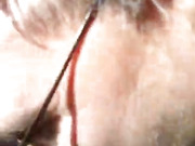 David/ Tawny love sperm