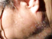 David/ Tawny love sperm