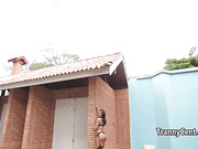 Black guy nailed shemale ass hole